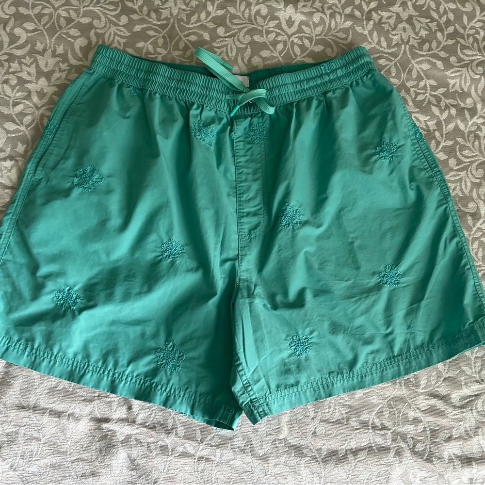 Urban Outfitters Green/Green teal men’s shorts
